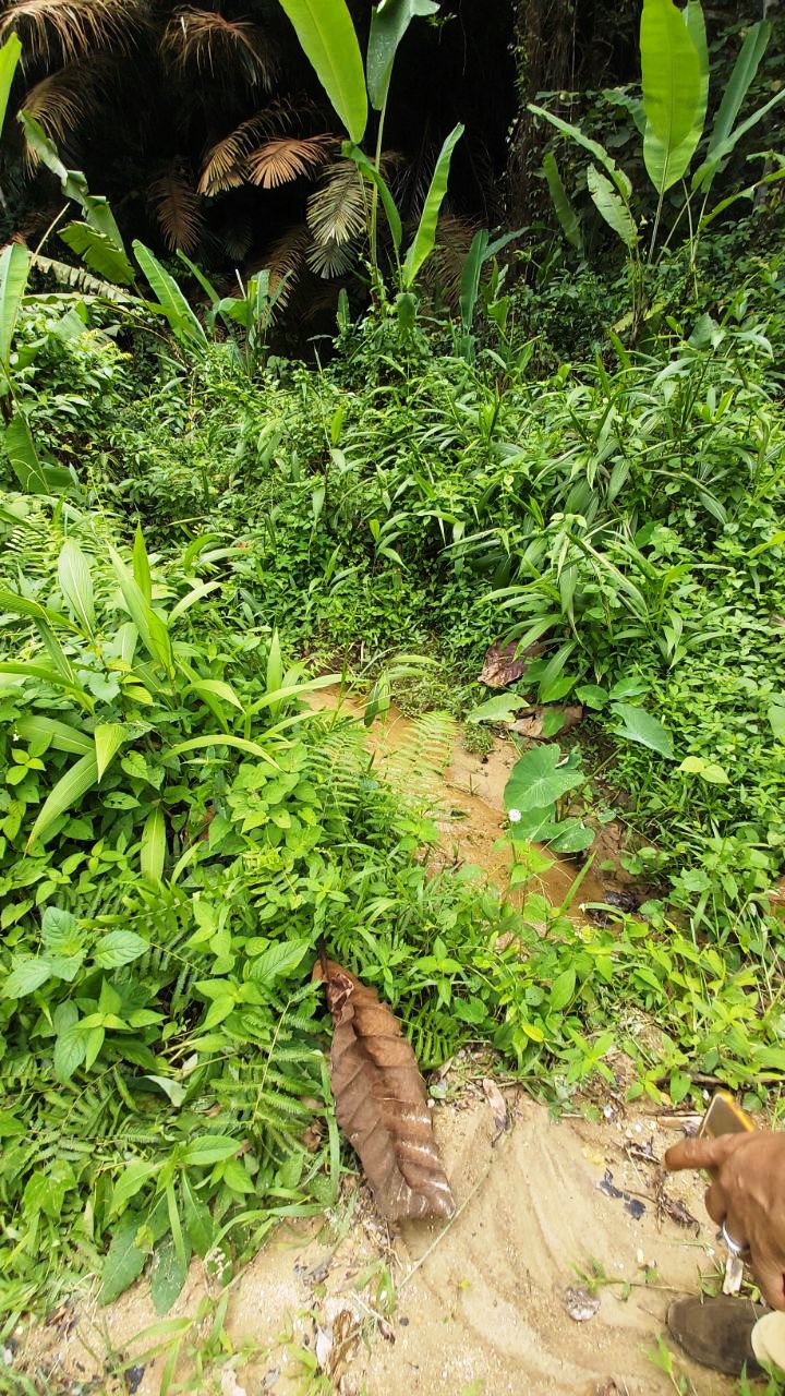 Kemensah Heights Ulu Klang Freehold Land For Sale - photo 8