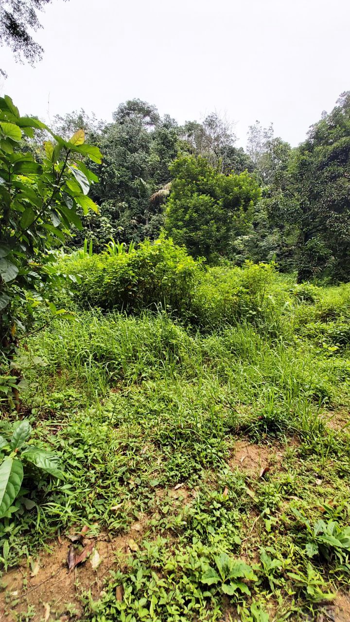 Kemensah Heights Ulu Klang Freehold Land For Sale - photo 9