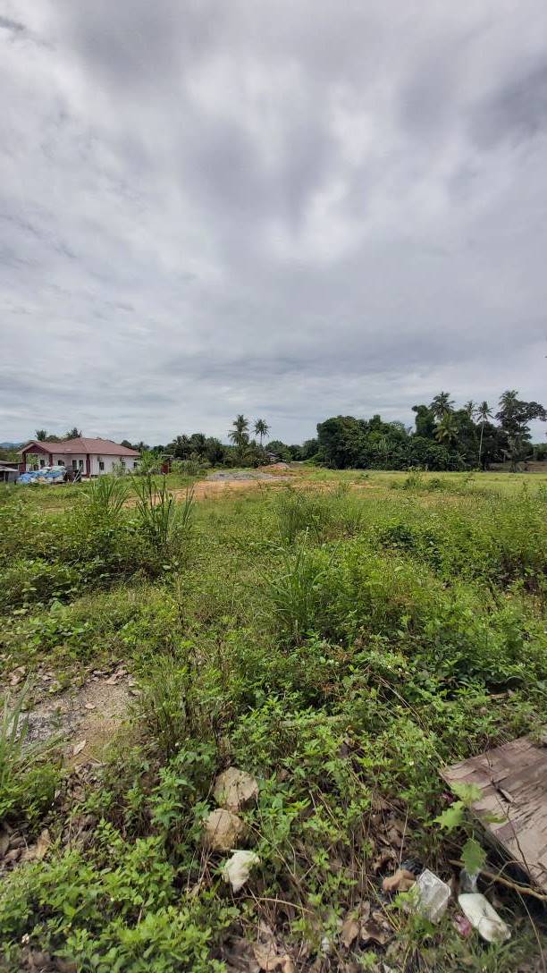 Beranang Selangor Tanah Tepi Jalan Freehold - photo 5