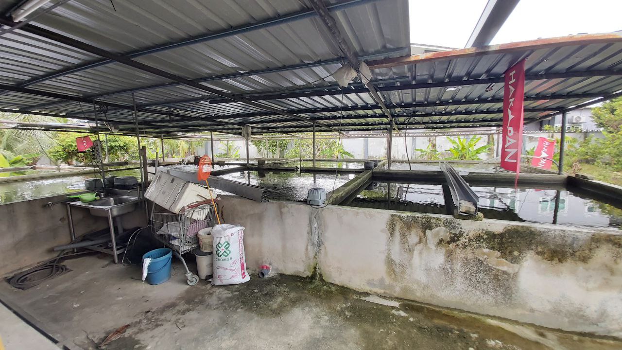 Kampung Jawa Klang Near Taman Sri Andalas Bungalow - photo 6