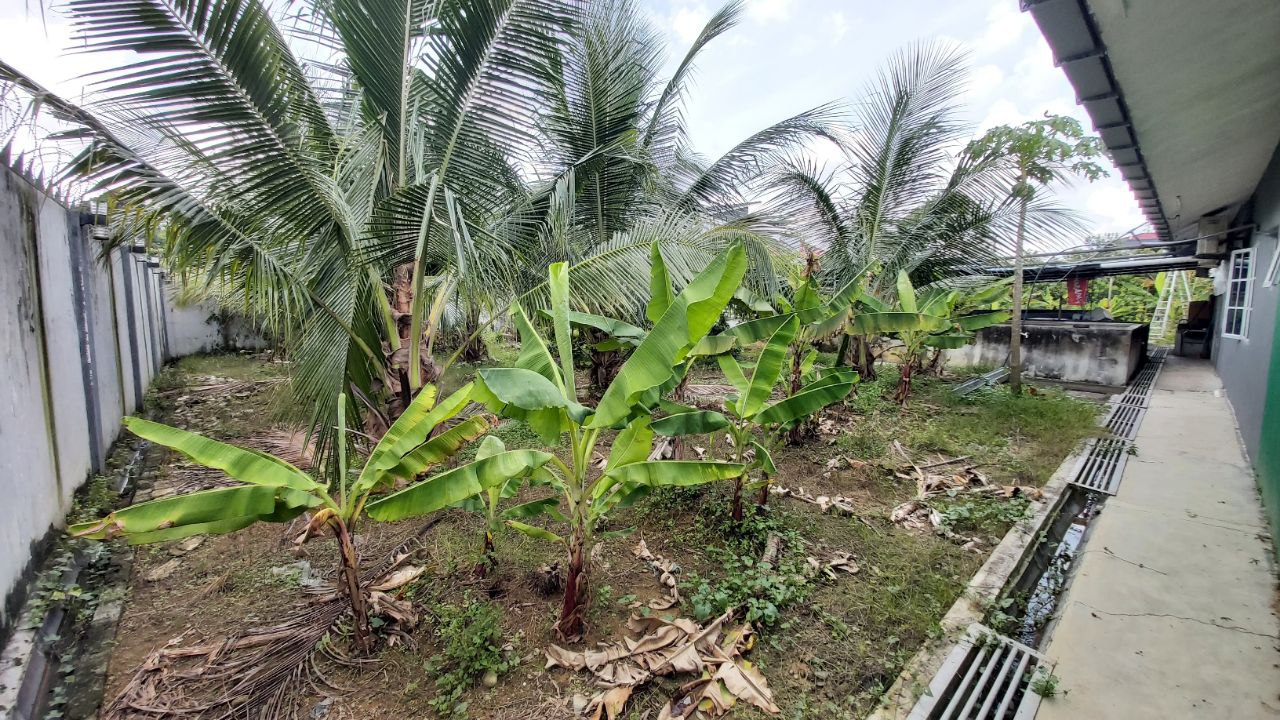 Kampung Jawa Klang Near Taman Sri Andalas Bungalow - photo 8