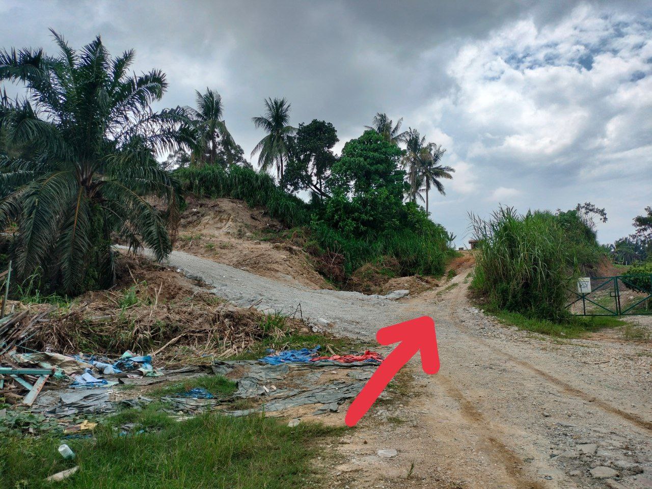 Tanah 3 Ekar Serendah Antara Gapi - photo 3