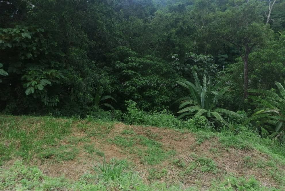 Bungalow Land Kemensah Heights - photo 6