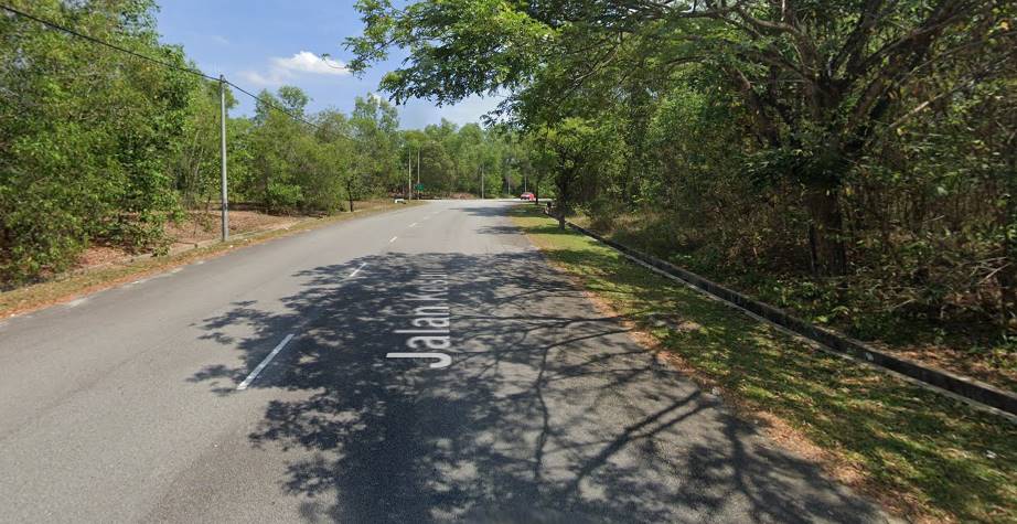 Tanah Banglo Bandar Tasik Kesuma Semenyih - photo 3