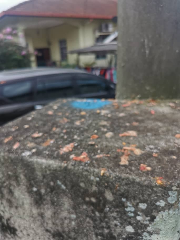 Tanah Tepi Jalan Sungai Tua Batu Caves - photo 12