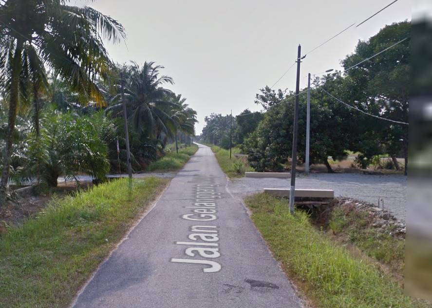 Tanah 6 Ekar Kelanang Banting - photo 3