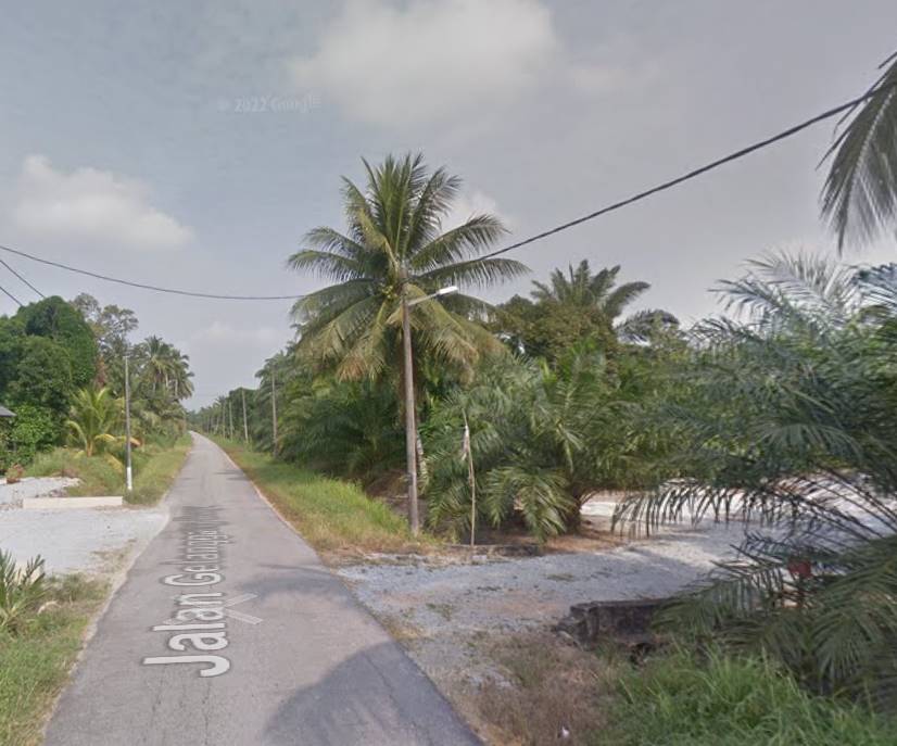 Tanah 6 Ekar Kelanang Banting - photo 5