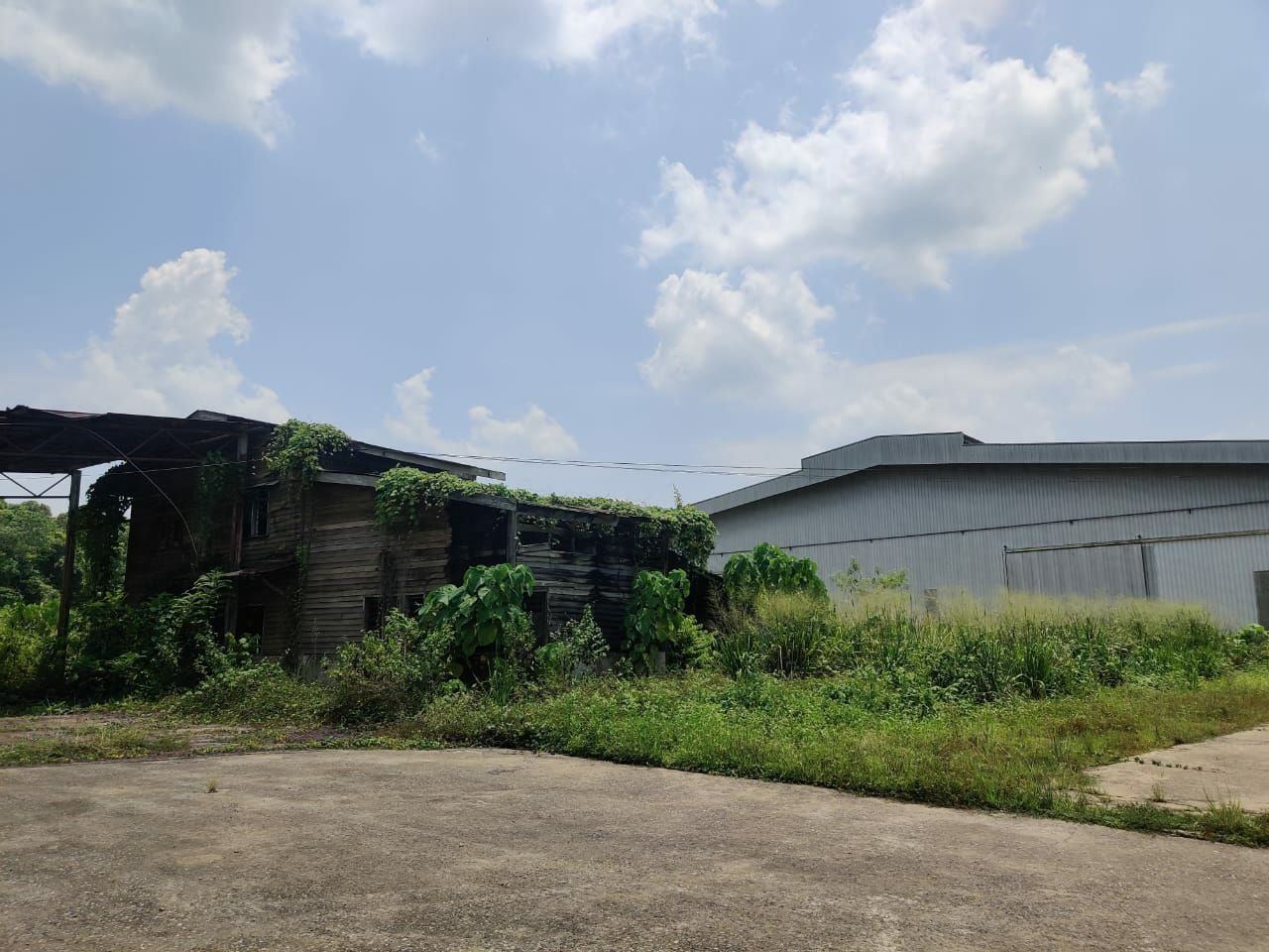 Factory Industry Land Mentakab, Termerloh Pahang - photo 8