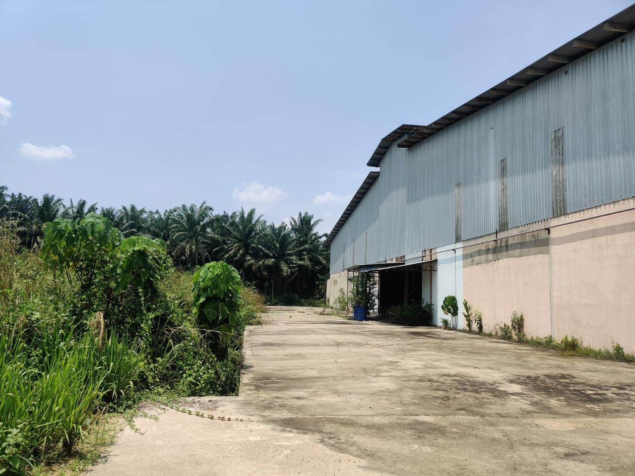 Factory Industry Land Mentakab, Termerloh Pahang - photo 11