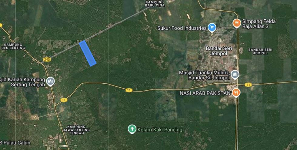 100 EKAR TANAH KELAPA SAWIT Jempol Negeri Sembilan - photo 3