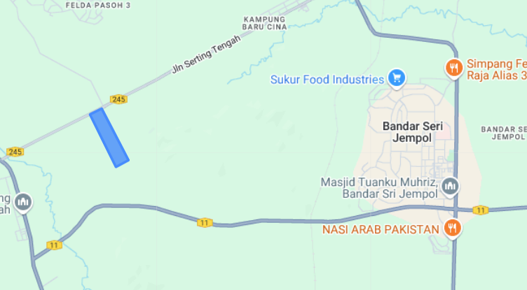 100 EKAR TANAH KELAPA SAWIT Jempol Negeri Sembilan - photo 4