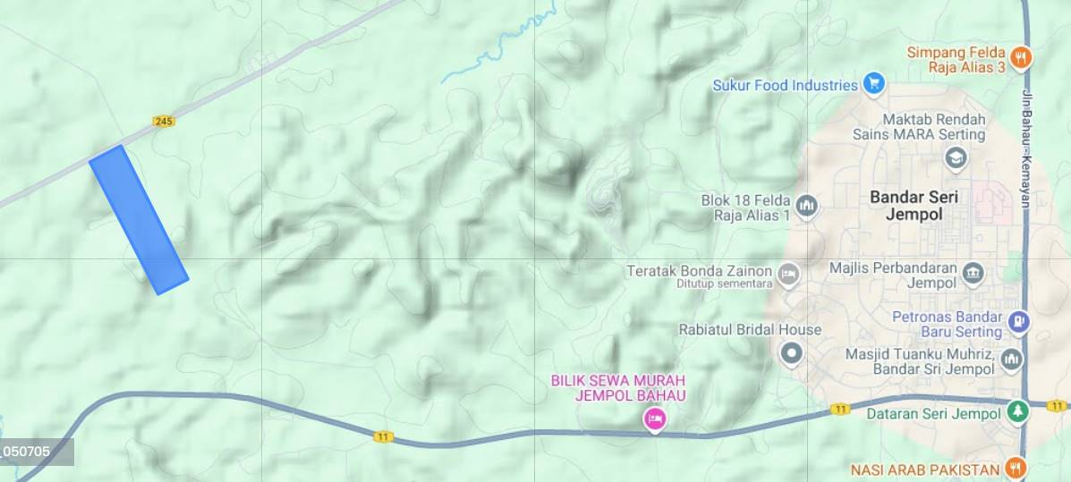 100 EKAR TANAH KELAPA SAWIT Jempol Negeri Sembilan - photo 8