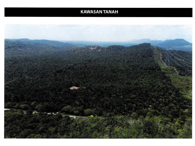 100 EKAR TANAH KELAPA SAWIT Jempol Negeri Sembilan - photo 10