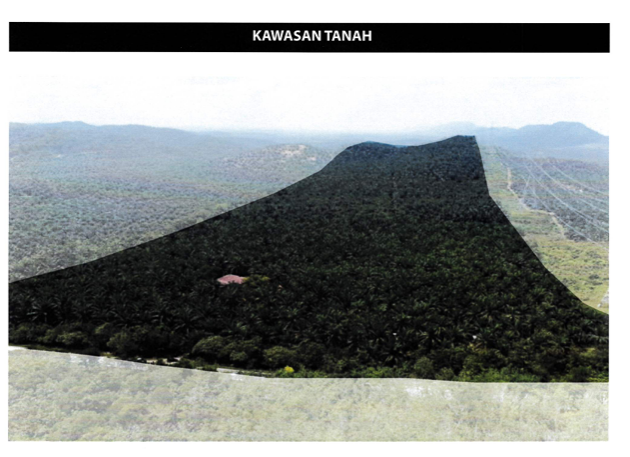 100 EKAR TANAH KELAPA SAWIT Jempol Negeri Sembilan - photo 11