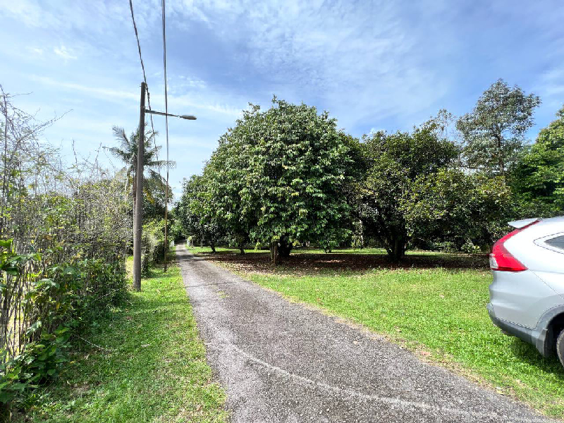 Tanah Kuang - photo 4