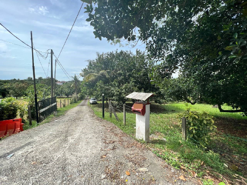 Tanah Kuang - photo 8