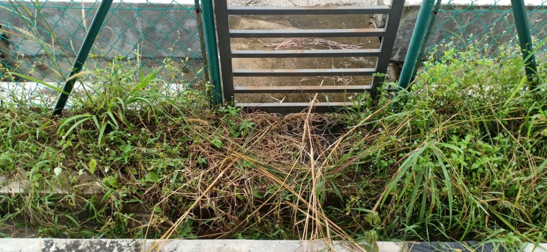 Hot Location Rumah Teres Setingkat, Kempadang Ba - photo 8