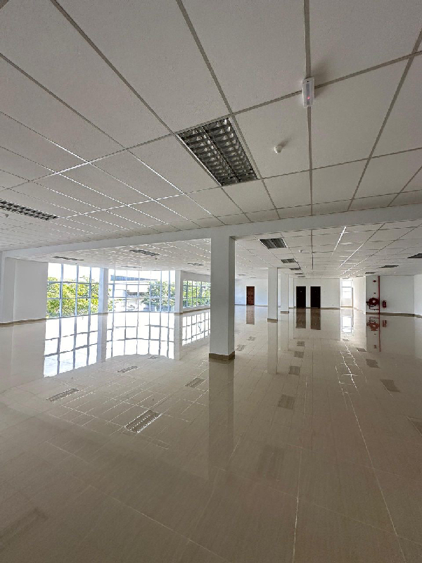 BUKIT MINYAK NEAR JURU BRAND NEW FACTORY WAREHOUSE 76,500SF FOOD MEDICINE ZONE - photo 10