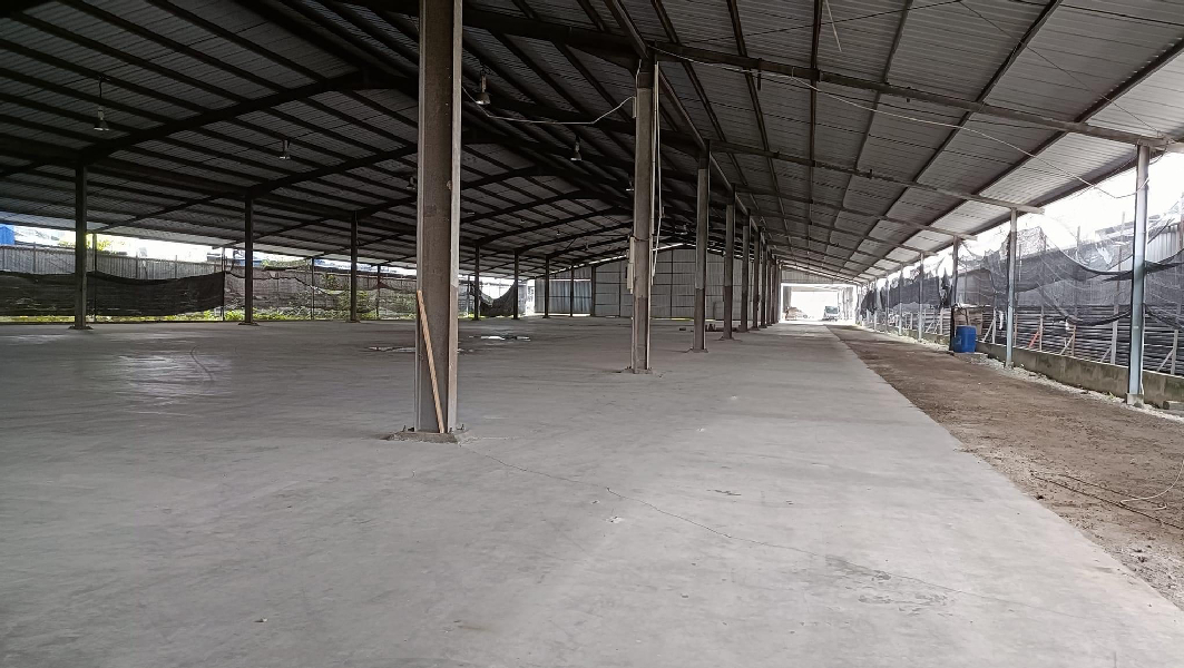 JURU NEAR BUKIT MINYAK DETACHED FACTORY WAREHOUSE FOR RENT 80,064SF  - photo 4