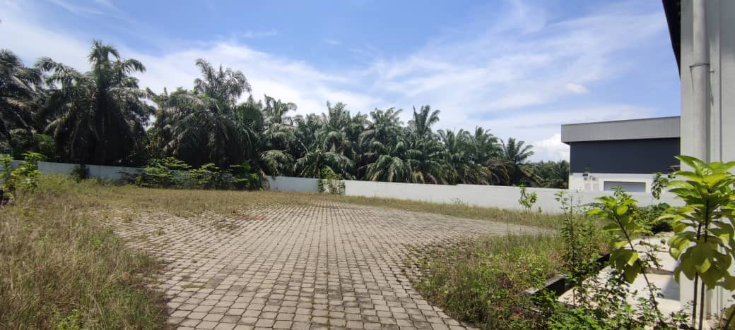 JURU NEAR BUKIT MINYAK FACTORY WAREHOUSE FOR SALE - photo 4