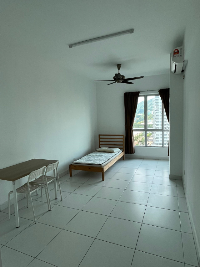 Elit height - photo 5