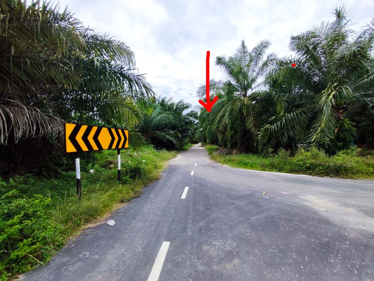 Jenderam Dengkil - photo 4