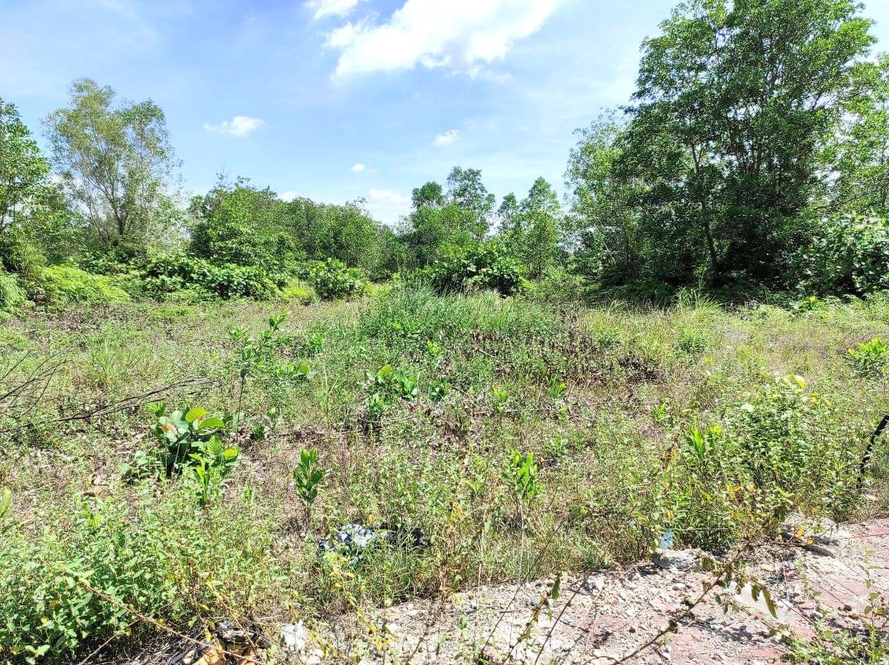Bandar Bukit Mahkota Residential Land - photo 8