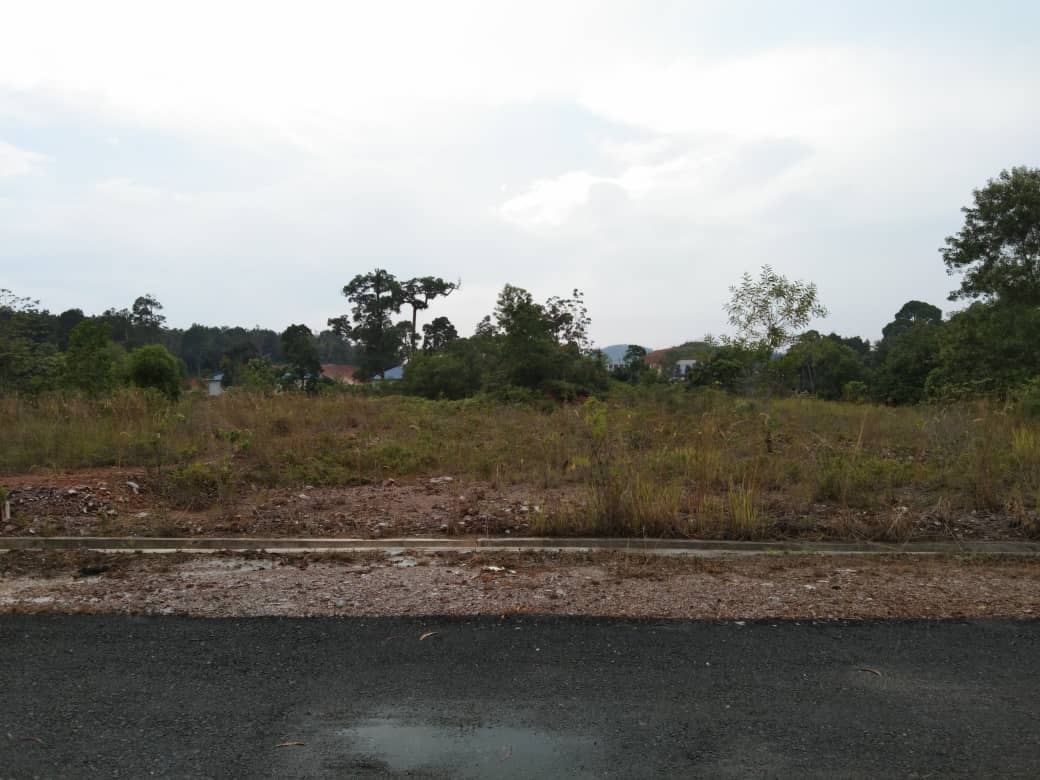 Untuk Dijual Lot Tanah Jenderam Hilir Sepang - photo 3