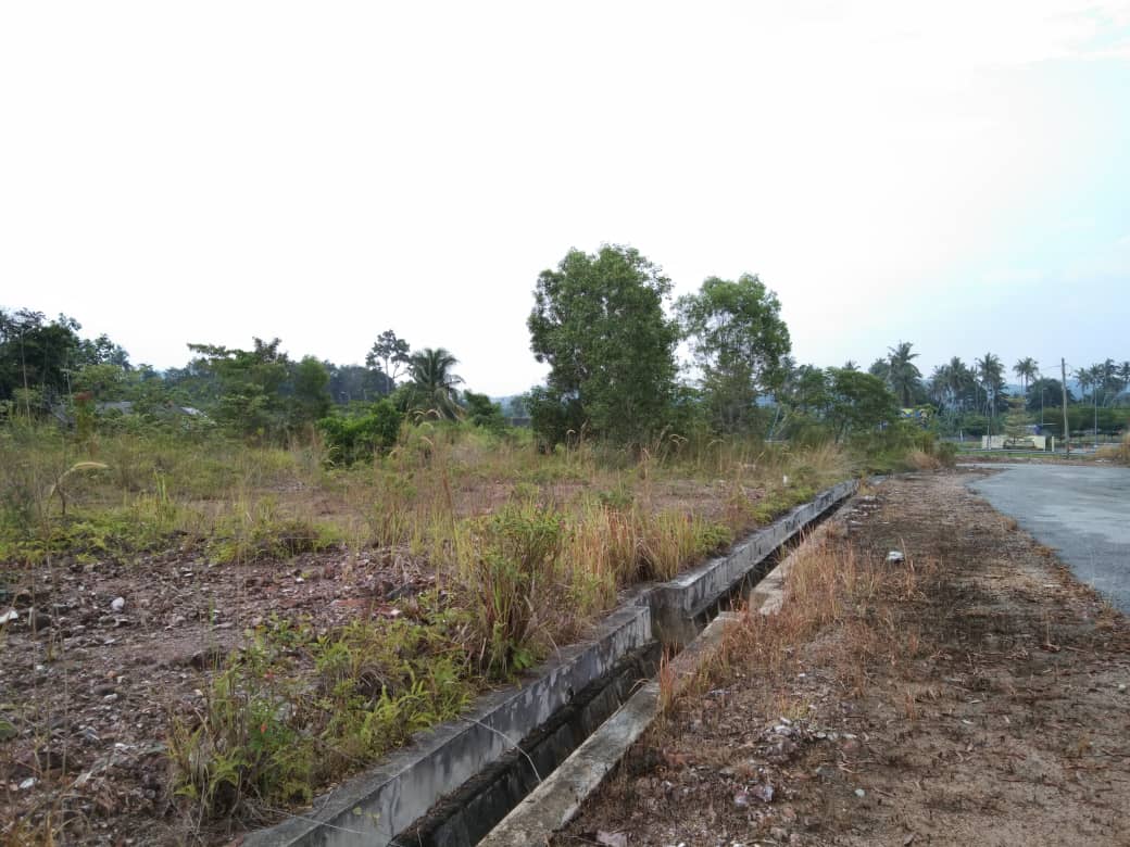 Untuk Dijual Lot Tanah Jenderam Hilir Sepang - photo 8