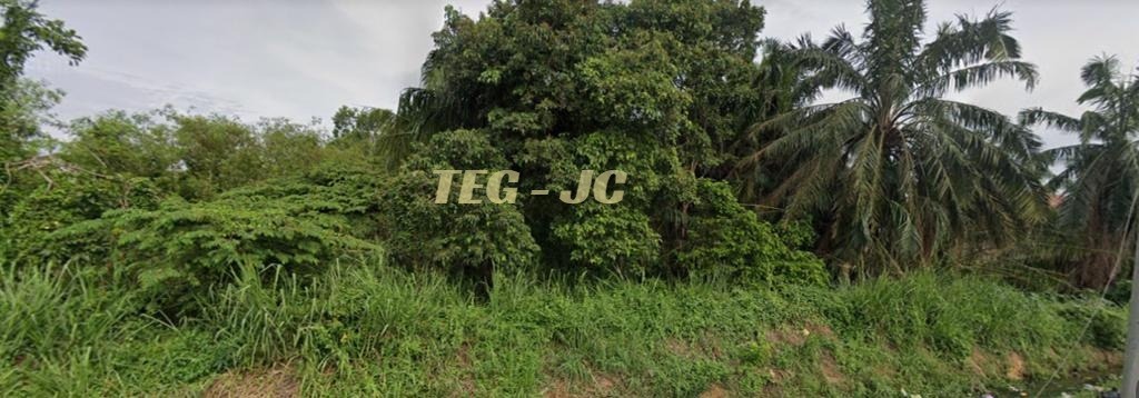 Teratai Residential Land 3 Acres - photo 2