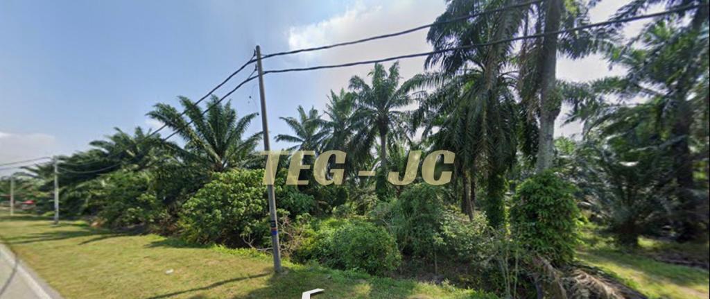 Telok Panglima Garang 5 acre Agri Land 7 mil plus - photo 2