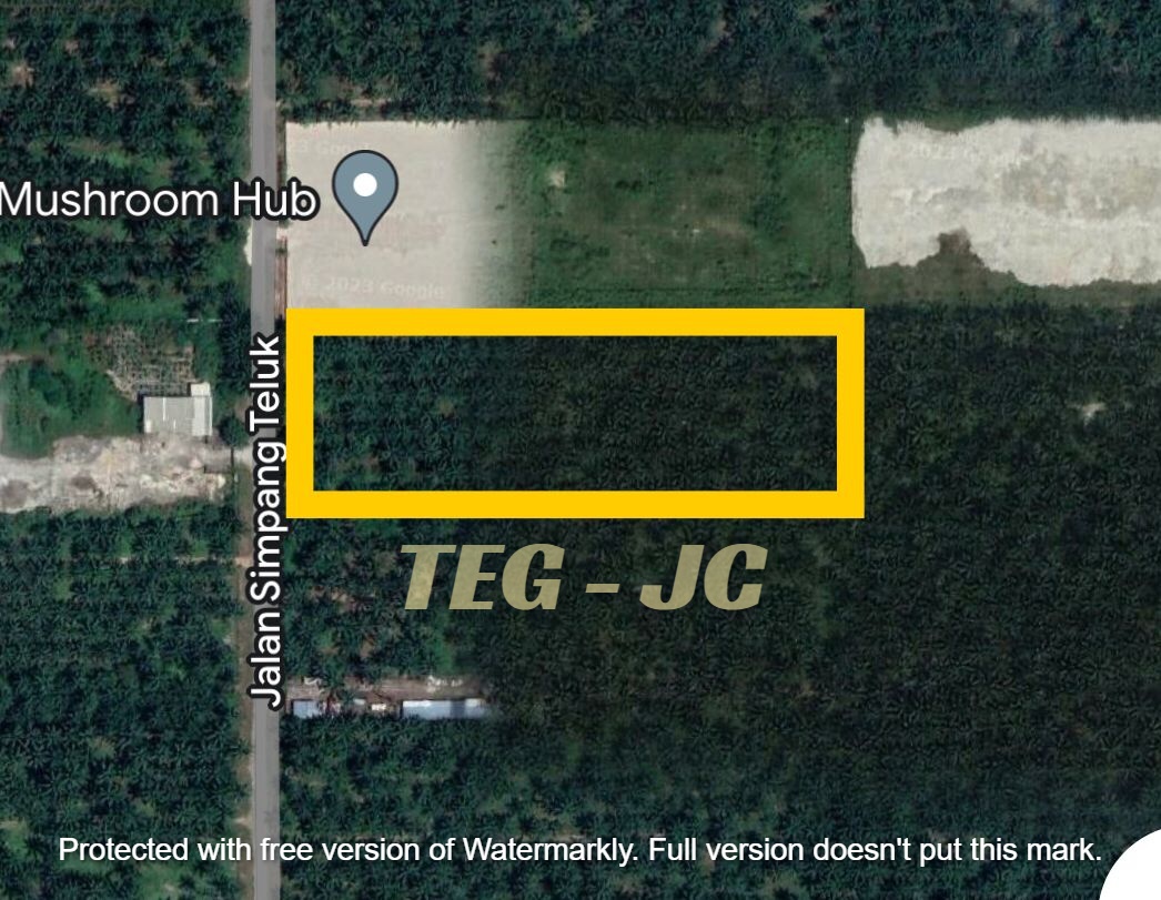 Telok Panglima Garang 5 acre Agri Land 7 mil plus - photo 3