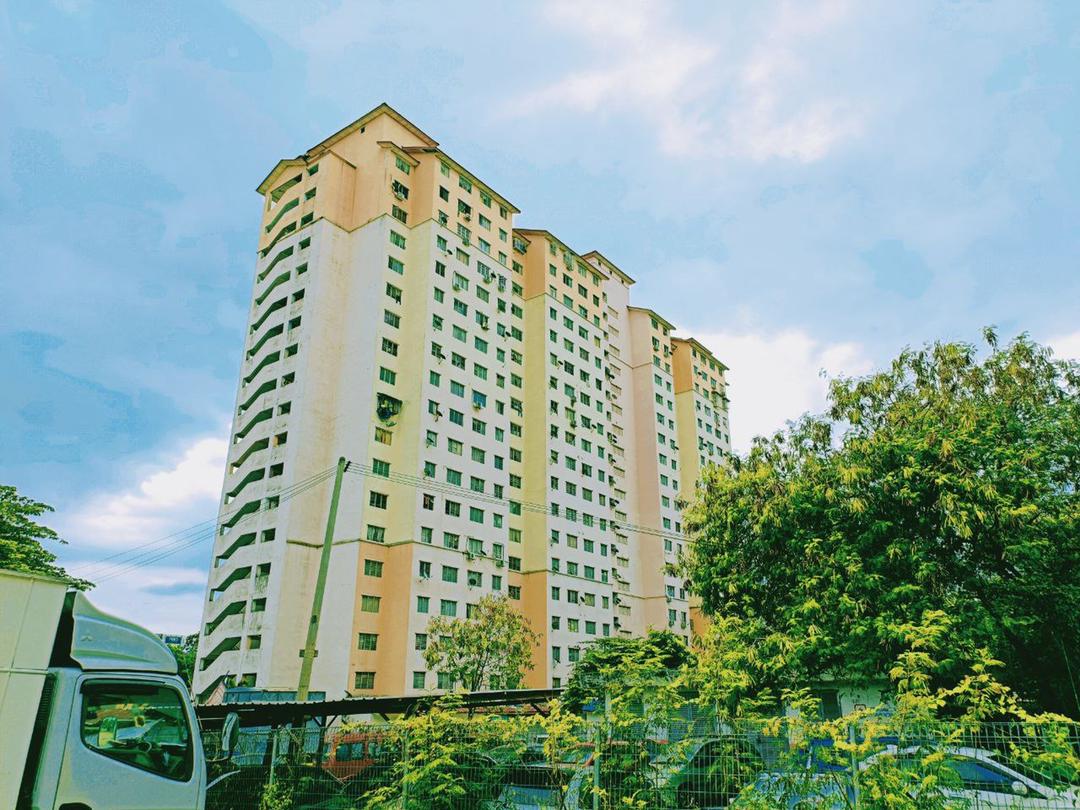 RUMAH PANGSA KAYU ARA, PJU 6A, PETALING JAYA - photo 6