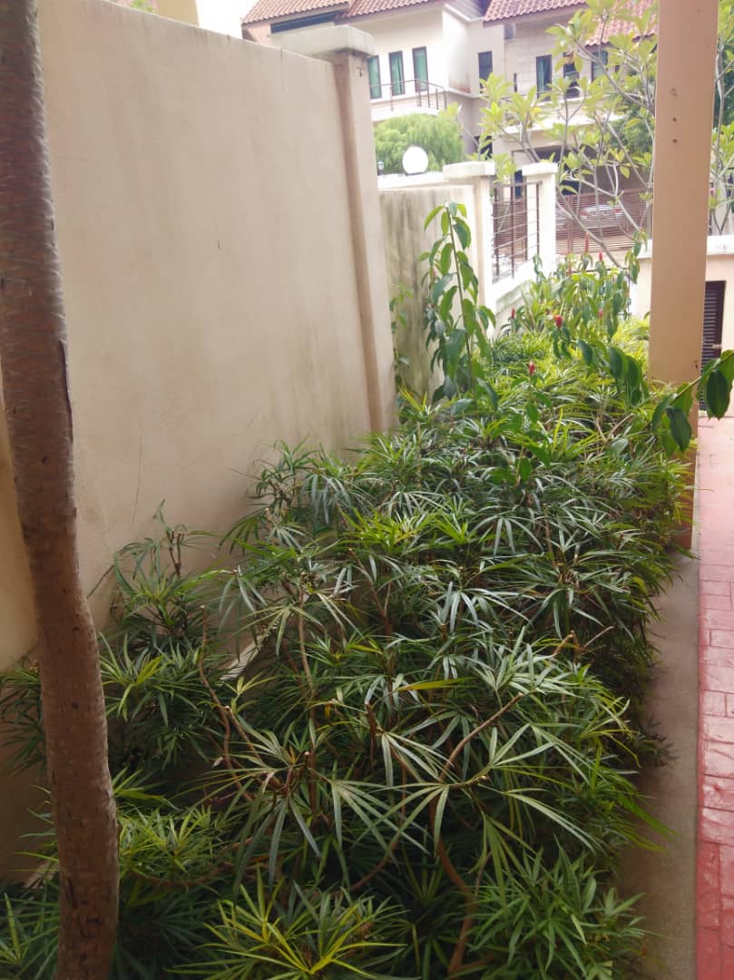 3sty Semi D 7341sf Kiara View Mont Kiara - photo 12
