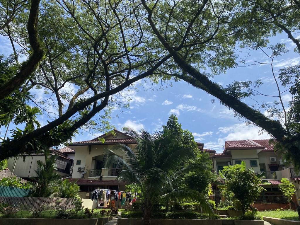 Corner Jln Kubah Bukit Jelutong House by Emily - photo 8