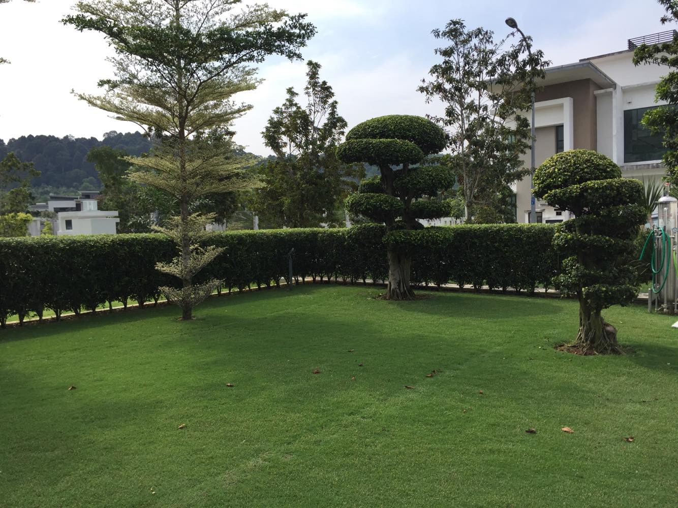 Lake View Bungalow Cahaya Spk by Emily - photo 11