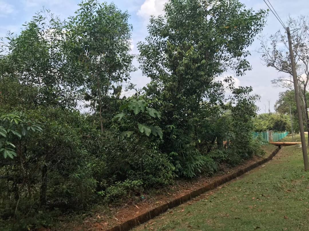 Land for sale Bukit Beruntung by JB - photo 1