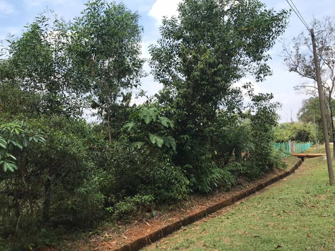 Land for sale Bukit Beruntung by JB - photo 2