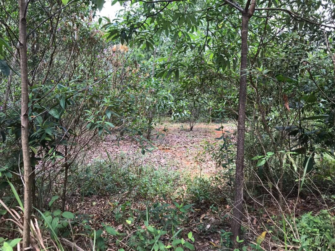 Land for sale Bukit Beruntung by JB - photo 3
