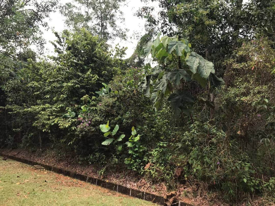 Land for sale Bukit Beruntung by JB - photo 4