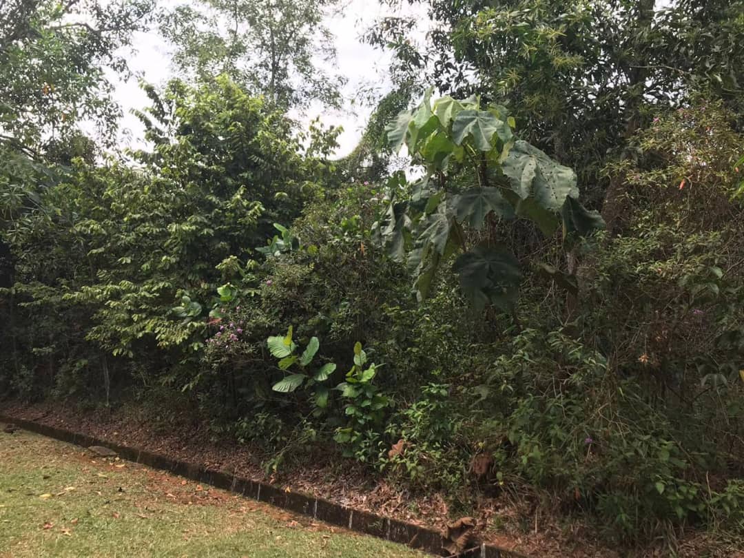 Land for sale Bukit Beruntung by JB - photo 5