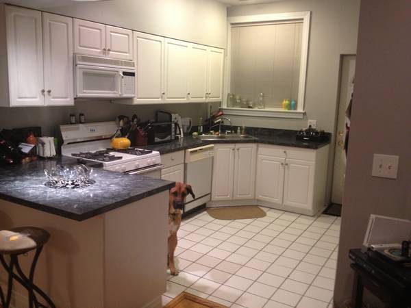 Langat Jaya Condo - photo 3
