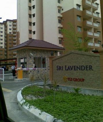 Sri Lavender - photo 2