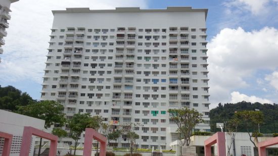 Monte Bayu - photo 4