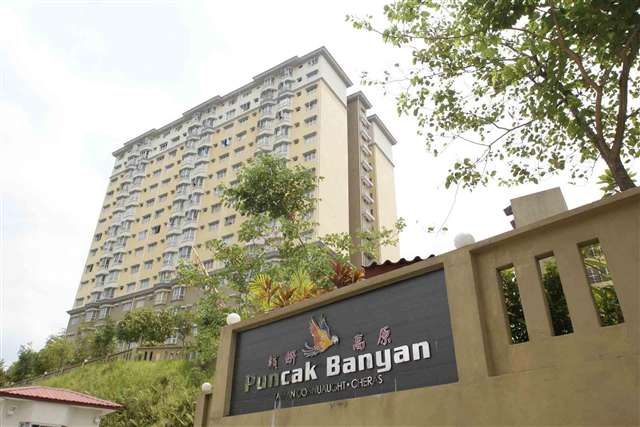 Puncak Banyan - photo 2