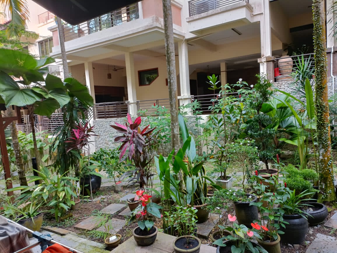 Alila Home, Tanjung Bungah - photo 9