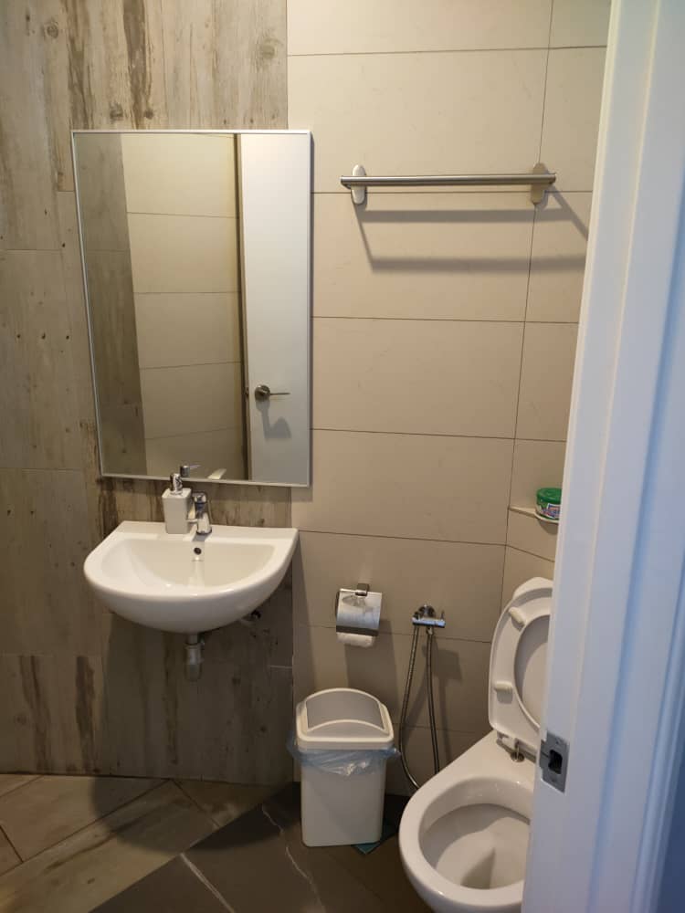 Arte S Condo, Gelugor - photo 6