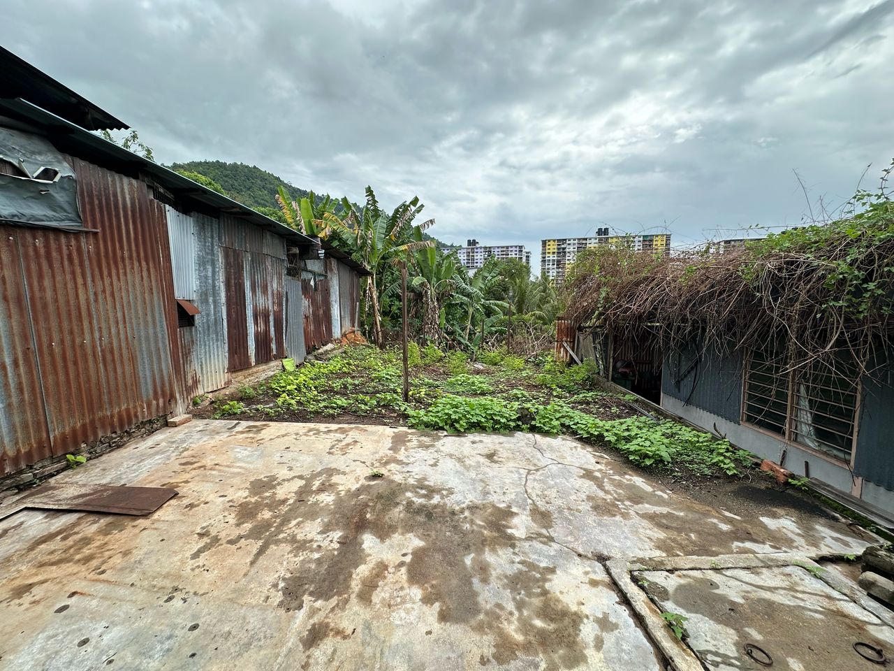 Reservoir Garden Single Storey Terrace - photo 8