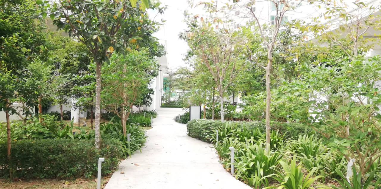 Clovers Low Floor, 1598sf - photo 3