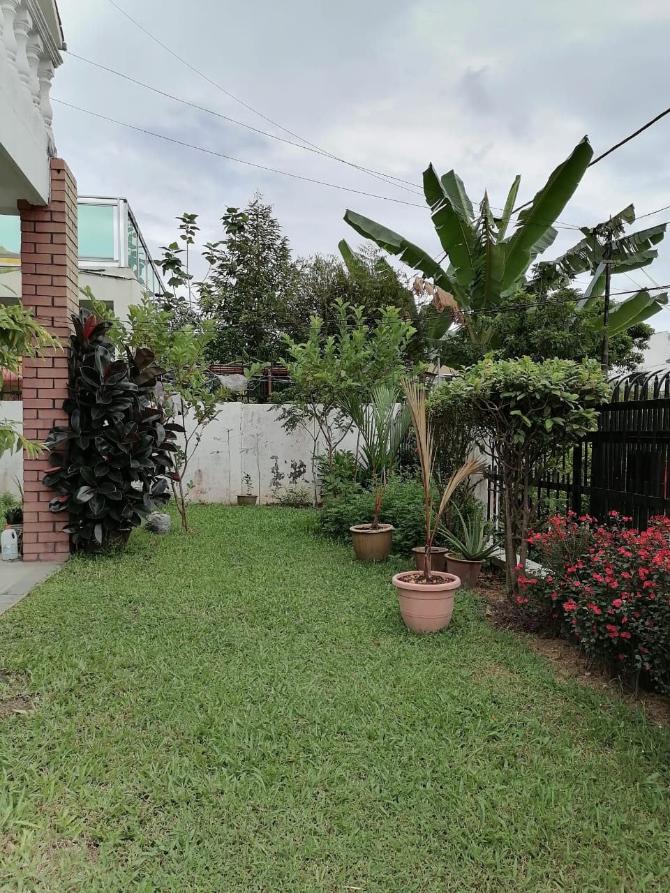 Lengkok Pemancar Semi D, Gelugor - photo 4
